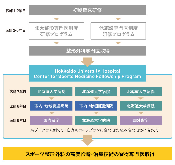 スポーツ整形外科研修プログラム - 北海道大学病院 スポーツ医学診療 